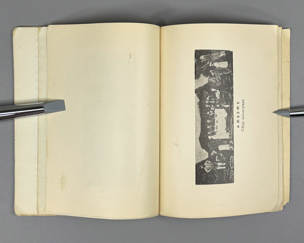Niko Pirosmanashvili's Paintings: An Exhibition / edited by G. Bukhnikashvili ; with contributions by Mamia Dudučava, Lado Gudiashvili, Giorgi Leonidze, 1938. In Georgian and Russian.