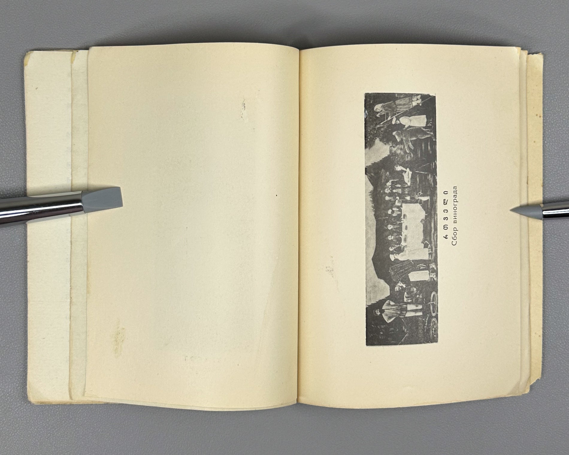 Niko Pirosmanashvili's Paintings: An Exhibition / edited by G. Bukhnikashvili ; with contributions by Mamia Dudučava, Lado Gudiashvili, Giorgi Leonidze, 1938. In Georgian and Russian.
