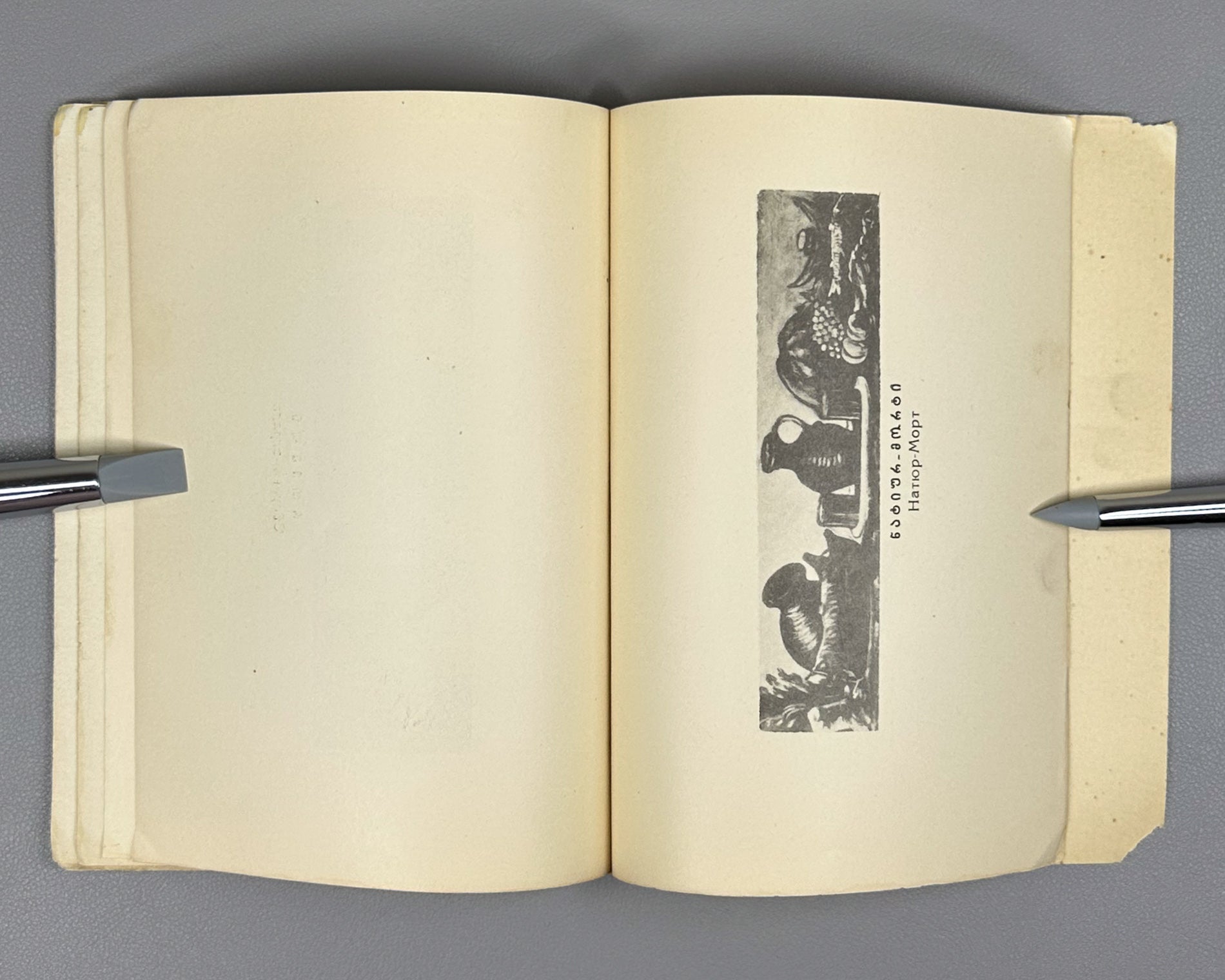 Niko Pirosmanashvili's Paintings: An Exhibition / edited by G. Bukhnikashvili ; with contributions by Mamia Dudučava, Lado Gudiashvili, Giorgi Leonidze, 1938. In Georgian and Russian.