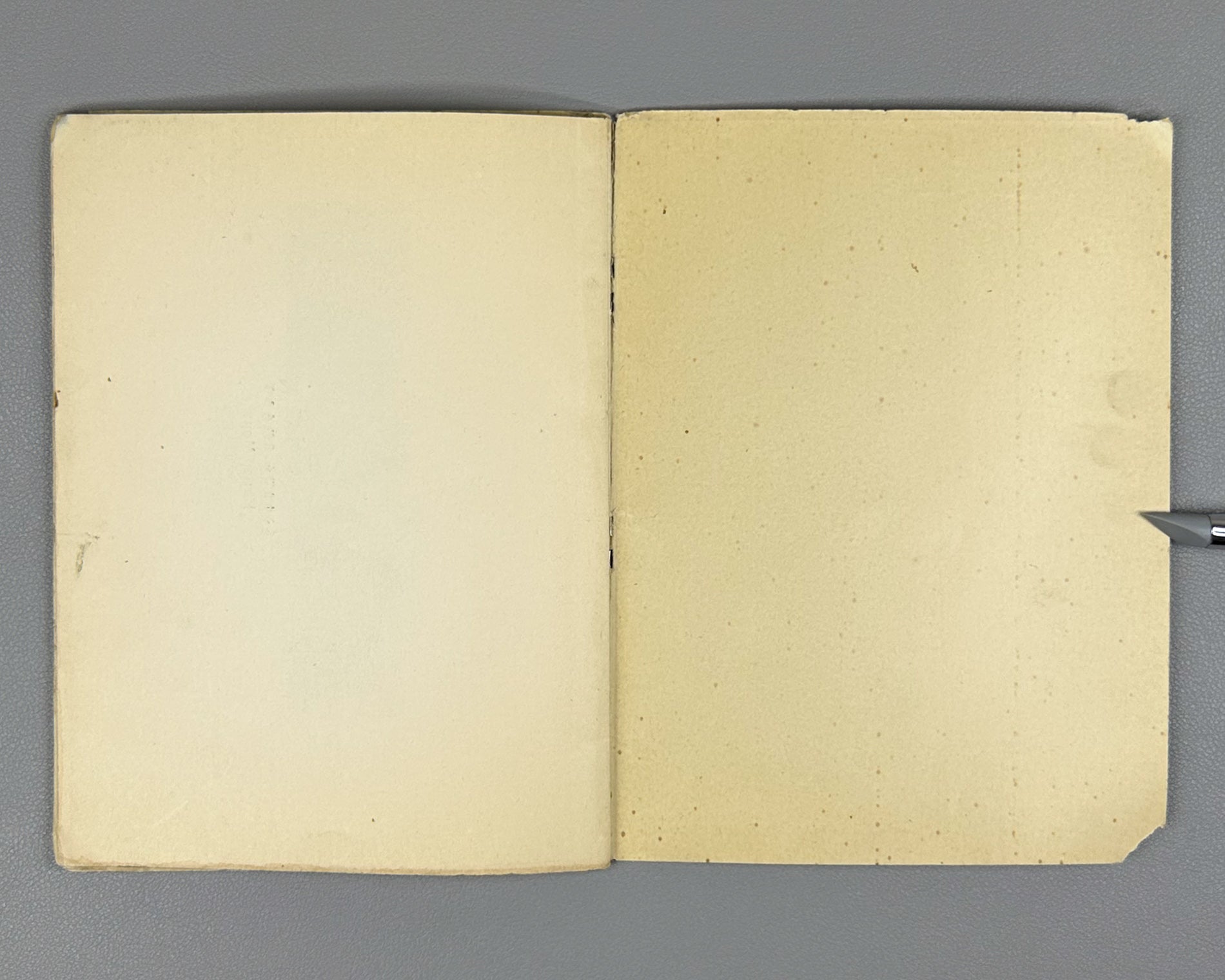 Niko Pirosmanashvili's Paintings: An Exhibition / edited by G. Bukhnikashvili ; with contributions by Mamia Dudučava, Lado Gudiashvili, Giorgi Leonidze, 1938. In Georgian and Russian.