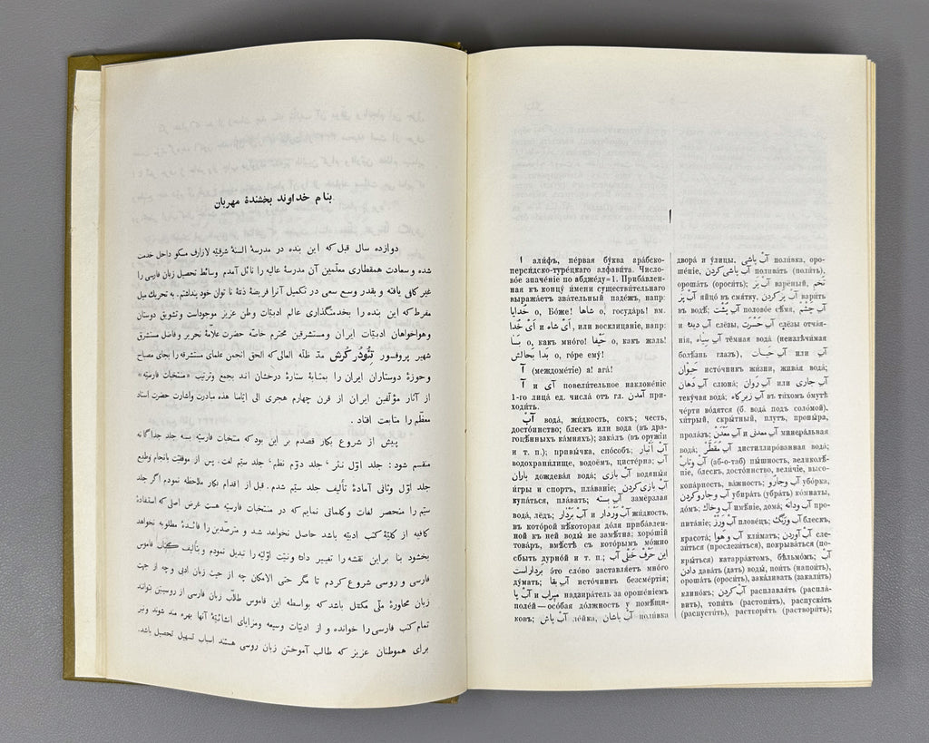 Gaffarov, M. A. Persian-Russian Dictionary (Persidsko-russkiy slovar'). In two volumes. Phototype reprint, 1974-1976. In Russian.
