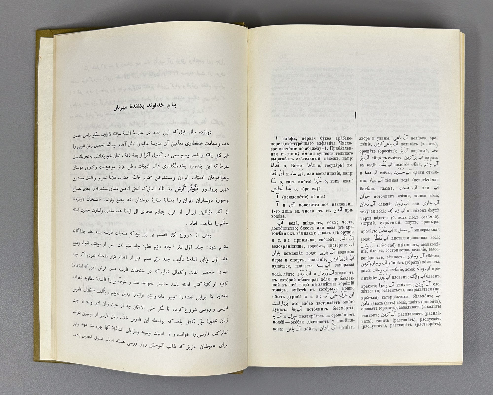 Gaffarov, M. A. Persian-Russian Dictionary (Persidsko-russkiy slovar'). In two volumes. Phototype reprint, 1974-1976. In Russian.