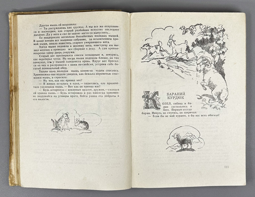 Abkhazian Tales (Abkhazskie skazki) / Compiled, edited and translated from the Abkhaz by Kh. S. Bgazhba; illustrations by A. and M. Beletsky. Sukhumi, 1959. In Russian.