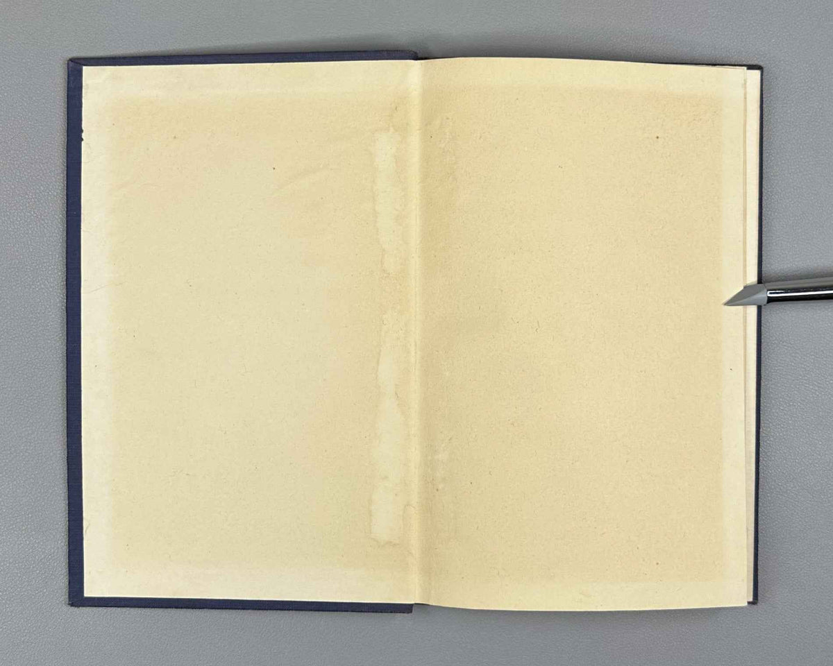 Petrovsky, I. Lectures on the Theory of Integral Equations (Lektsii po teorii integralnykh uravneniy). 1951. In Russian.