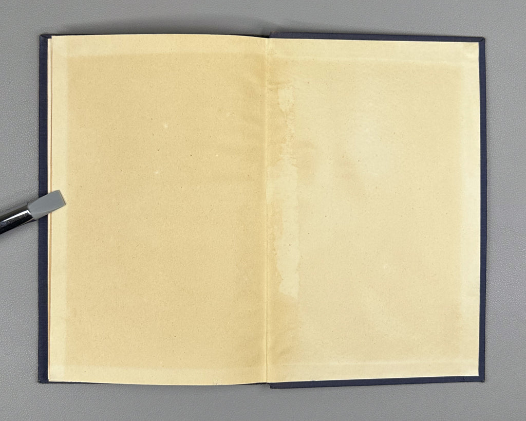 Petrovsky, I. Lectures on the Theory of Integral Equations (Lektsii po teorii integralnykh uravneniy). 1951. In Russian.