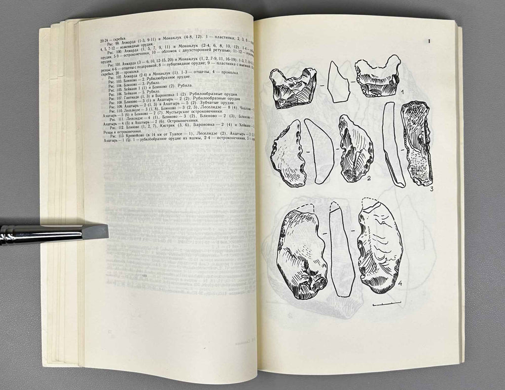 L. N. Soloviev. Stone Age Sites of Abkhazia (Pamyatniki kamennogo veka Abkhazii). 1987. In Russian.