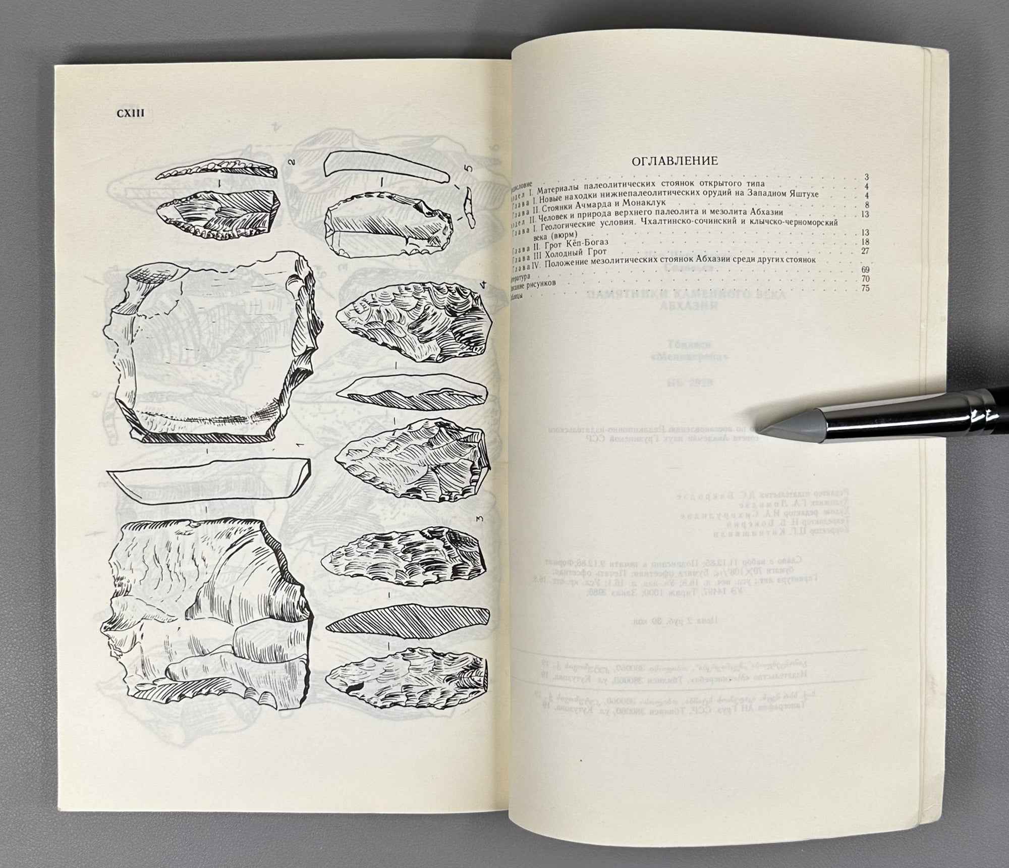 L. N. Soloviev. Stone Age Sites of Abkhazia (Pamyatniki kamennogo veka Abkhazii). 1987. In Russian.