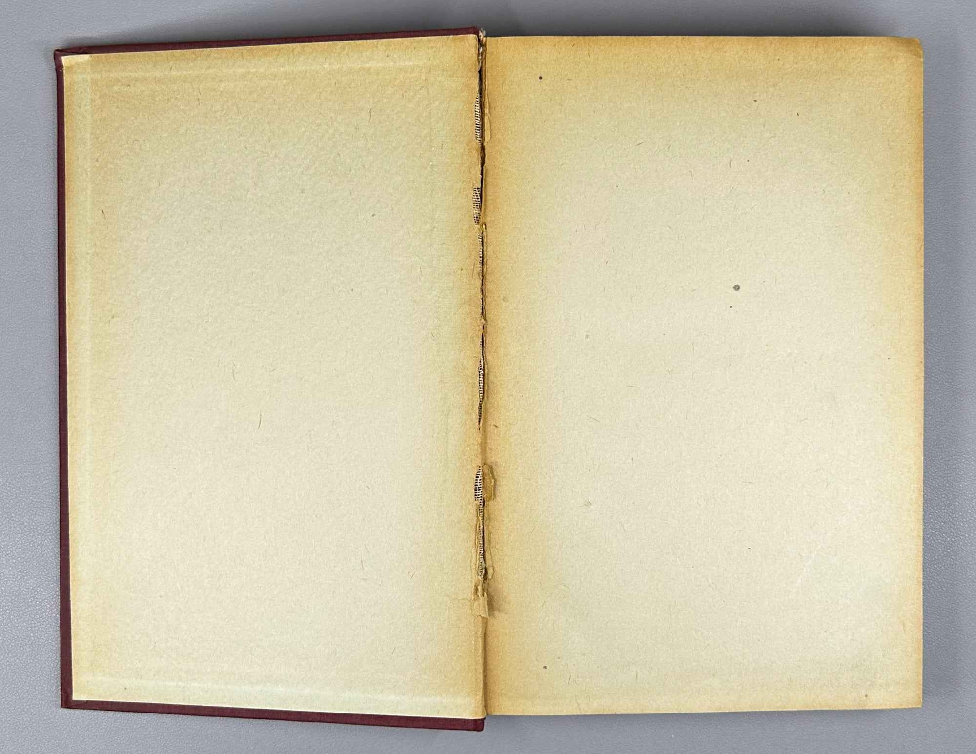 V. V. Bunak, M. F. Nesturkh, Ya. Ya. Roginsky. Anthropology: A Short Course (Antropologiya. Kratkii kurs). 1941. In Russian.