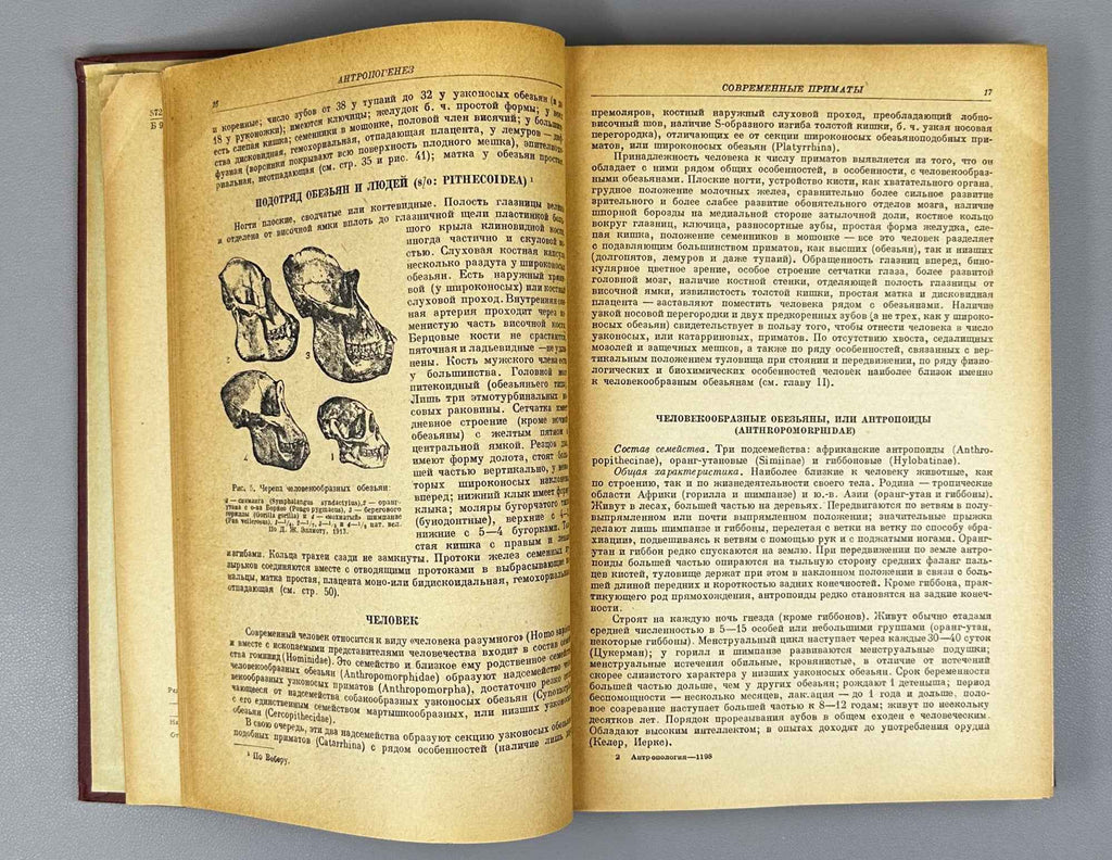 V. V. Bunak, M. F. Nesturkh, Ya. Ya. Roginsky. Anthropology: A Short Course (Antropologiya. Kratkii kurs). 1941. In Russian.