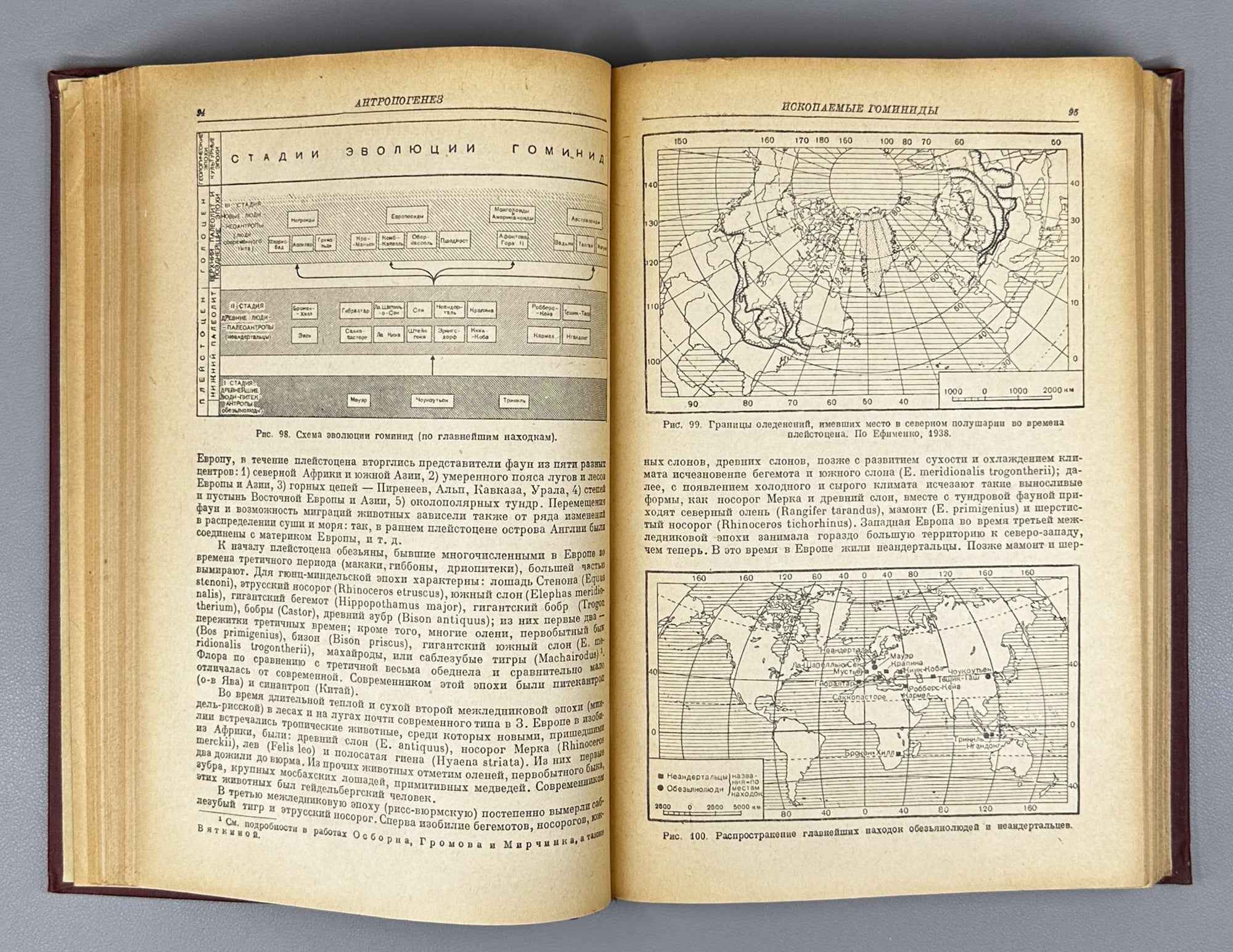 V. V. Bunak, M. F. Nesturkh, Ya. Ya. Roginsky. Anthropology: A Short Course (Antropologiya. Kratkii kurs). 1941. In Russian.