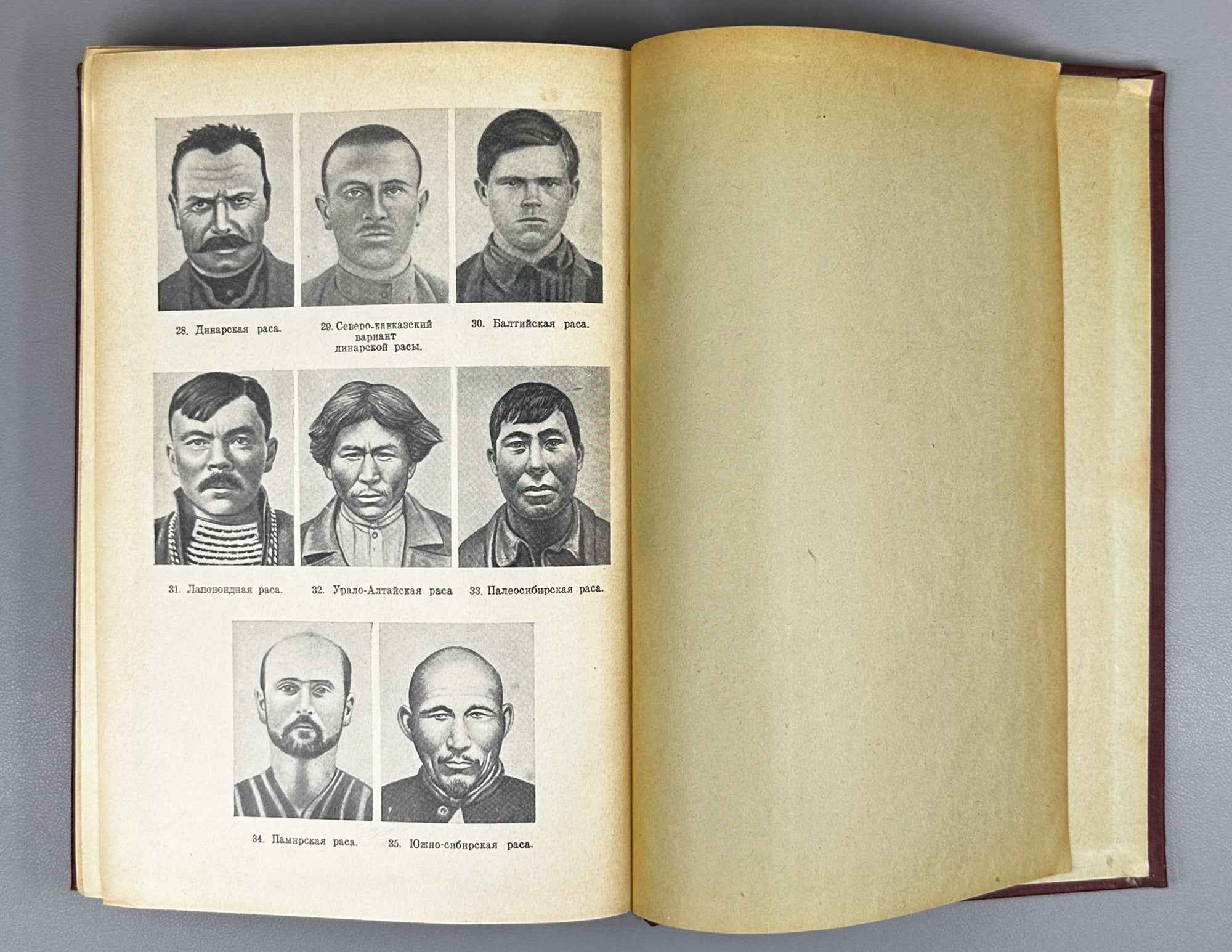 V. V. Bunak, M. F. Nesturkh, Ya. Ya. Roginsky. Anthropology: A Short Course (Antropologiya. Kratkii kurs). 1941. In Russian.