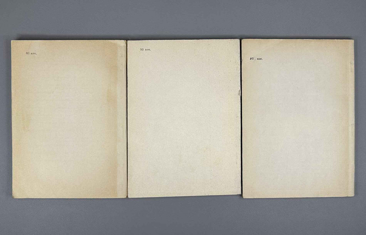 Ershov, Yu. Numbering Theory: A Special Course for Mathematics Students of Novosibirsk State University (Teoriya numeratsiy). Three parts: complete set, 1973-1974. In Russian.