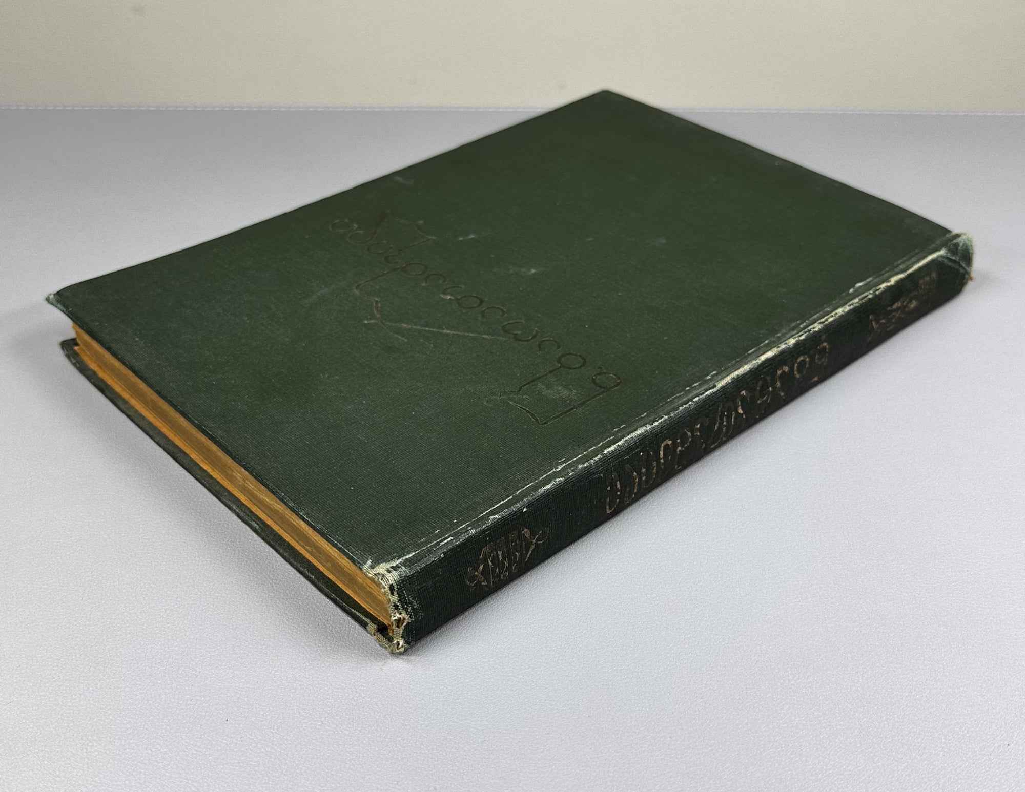 Nikoloz Baratashvili. Poems; Letters (Leksebi; P'oema; Ts'erilebi). Introductory study by Pavle Ingoroqva. Illustrated by Lado Gudiashvili. 1939. In Georgian.