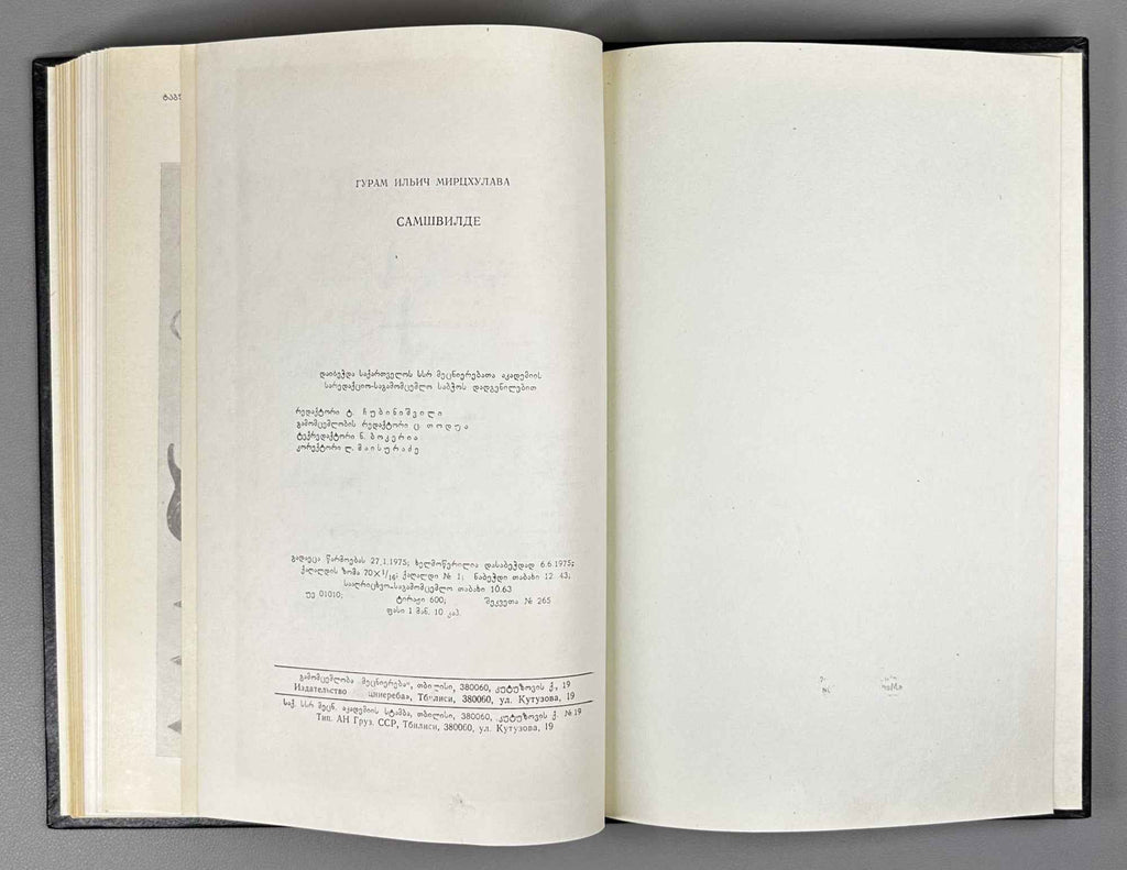 Mirtskhulava, G. Samshvilde: Results of the 1968-70 Archaeological Excavations (Samshvilde: 1968-70 ts'ts'. arkeologiuri gatkhrebis shedegebi). 1975. In Georgian.