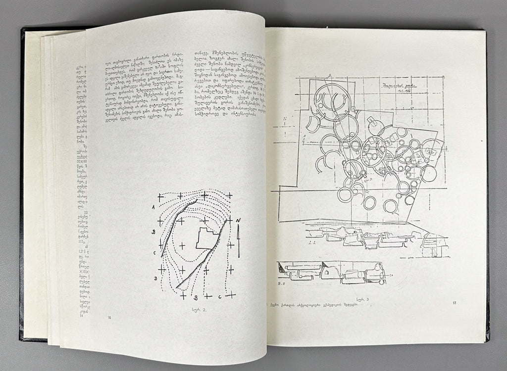 Javakhishvili, A.; Kiguradze, T.; Glonti, L. Results of the Kvemo Kartli Archaeological Expedition, 1965-1971 (Qvemo Kartlis arkheologiuri eqspedits'iis shedeghebi). 1975. In Georgian.