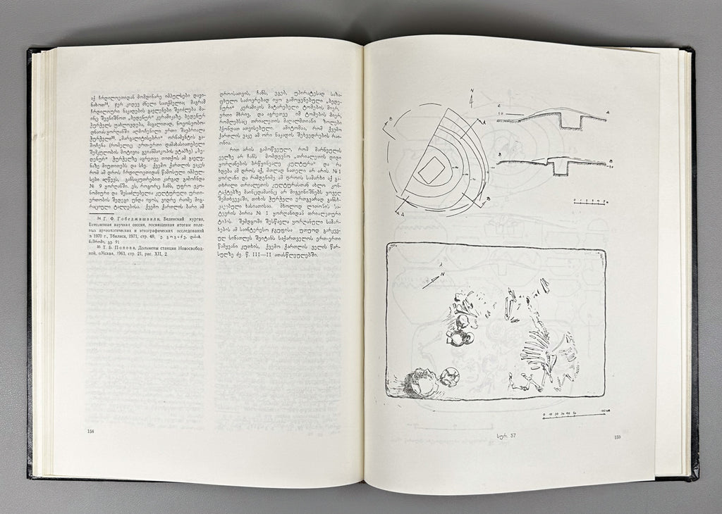 Javakhishvili, A.; Kiguradze, T.; Glonti, L. Results of the Kvemo Kartli Archaeological Expedition, 1965-1971 (Qvemo Kartlis arkheologiuri eqspedits'iis shedeghebi). 1975. In Georgian.