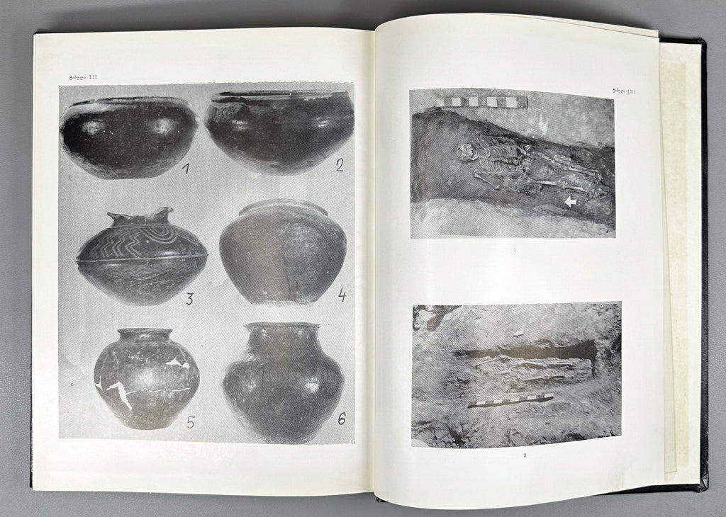 Javakhishvili, A.; Kiguradze, T.; Glonti, L. Results of the Kvemo Kartli Archaeological Expedition, 1965-1971 (Qvemo Kartlis arkheologiuri eqspedits'iis shedeghebi). 1975. In Georgian.
