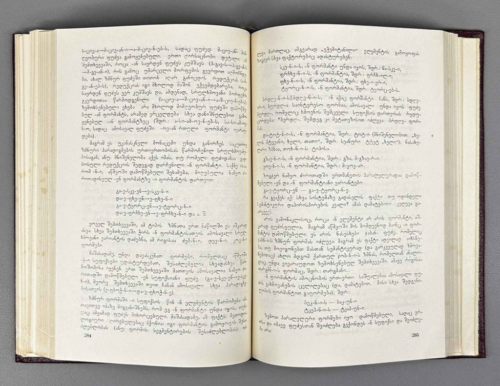 Jorbenadze, B. Principles of Formal and Functional Analysis of the Georgian Verb (K'art'uli zmnis p'ormob'rivi da p'unk'tsiuri analizis p'rintsipebi). 1980. In Georgian.