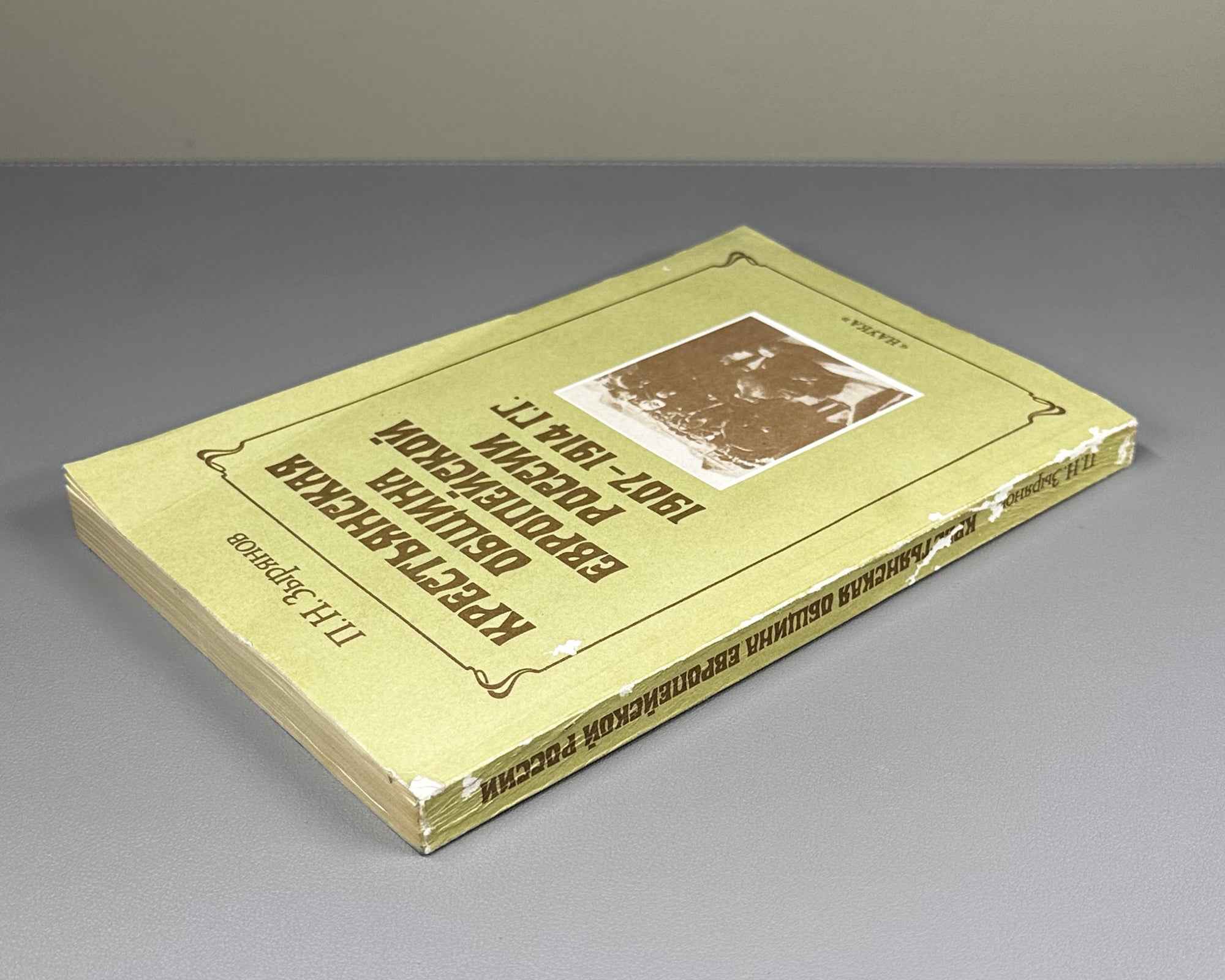 Zyryanov, P. N. The Peasant Commune of European Russia, 1907-1914 (Krest'yanskaya obshchina evropeyskoy Rossii). 1992. In Russian.