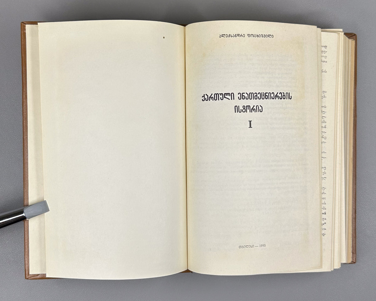 Potskhishvili, A. History of Georgian Linguistics (Kartuli Enatmetsnierebis Istoria). Book I. Editor K. Danelia. Tbilisi, 1995. In Georgian.