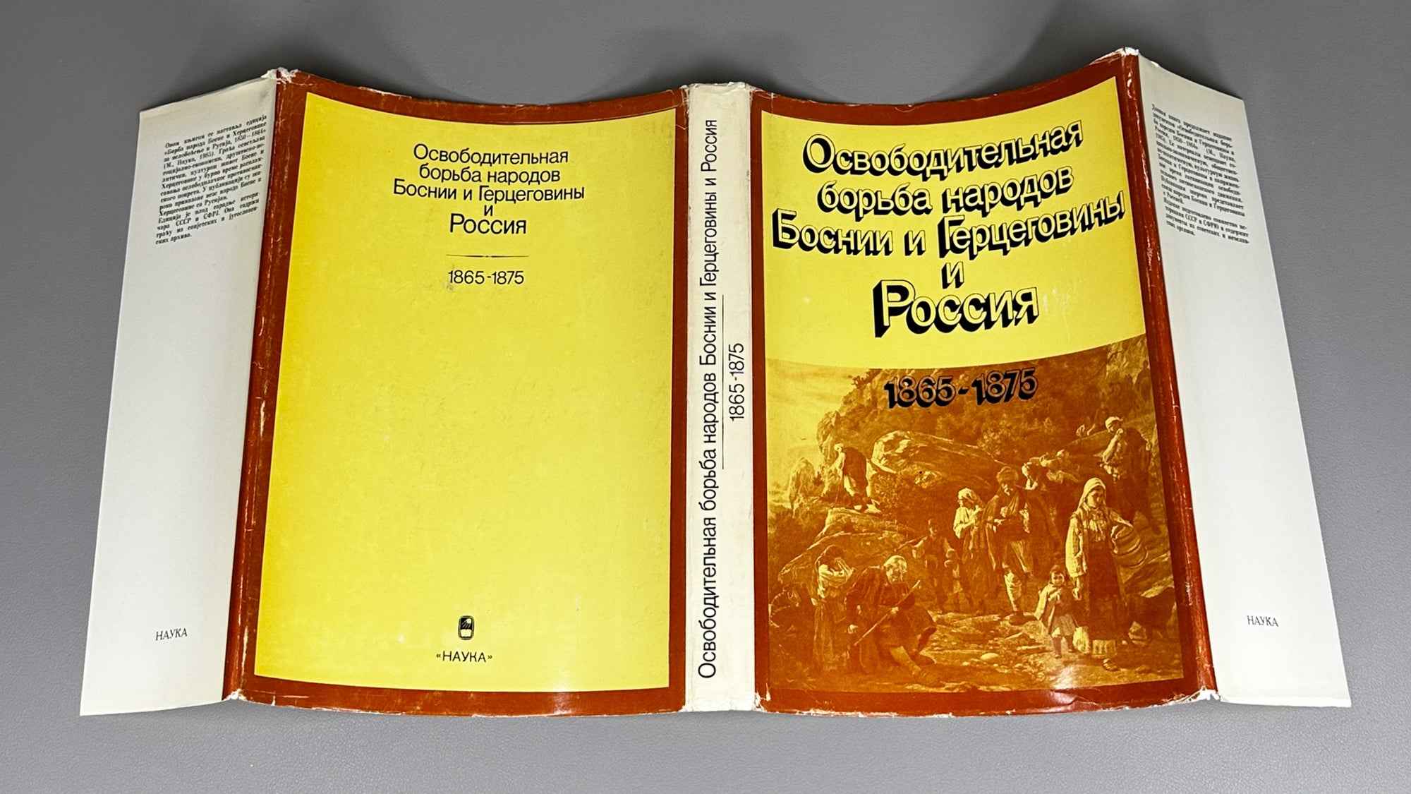 Liberation Struggle of the Peoples of Bosnia and Herzegovina and Russia, 1865-1875 (Osvoboditel'naia bor'ba narodov Bosnii i Gertsegoviny i Rossiia): Documents, 1988. In Russian.