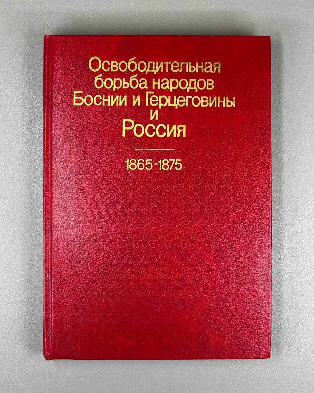 Liberation Struggle of the Peoples of Bosnia and Herzegovina and Russia, 1865-1875 (Osvoboditel'naia bor'ba narodov Bosnii i Gertsegoviny i Rossiia): Documents, 1988. In Russian.
