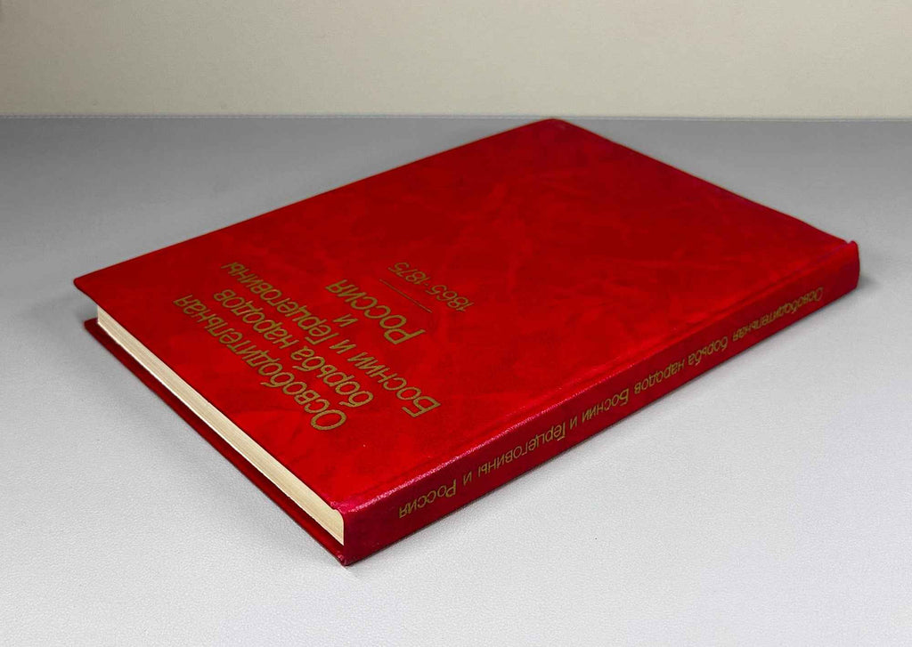 Liberation Struggle of the Peoples of Bosnia and Herzegovina and Russia, 1865-1875 (Osvoboditel'naia bor'ba narodov Bosnii i Gertsegoviny i Rossiia): Documents, 1988. In Russian.