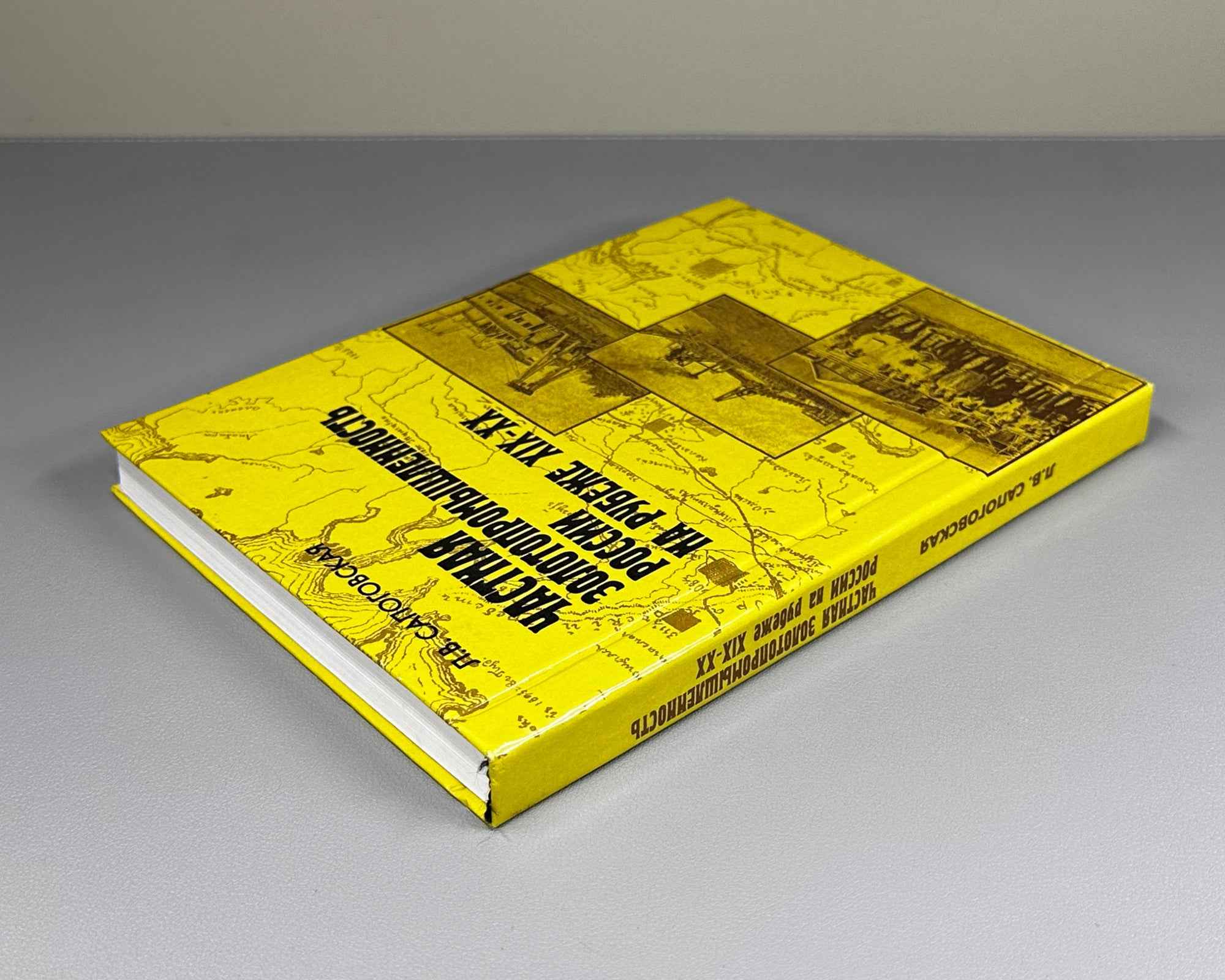 Sapogovskaia, L. Private Gold Mining Industry in Russia at the Turn of the 19th-20th Centuries: The Urals and Siberia - Models of Development (Chastnaia zolotopromyshlennost' Rossii). 1998. In Russian.