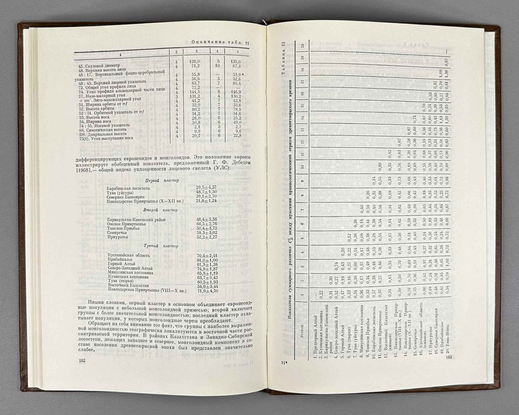 Molodin, V., Savinov, D., Elagin, V. Baraba in the Turkic Period (Baraba v tiurkskoe vremia). 1988. In Russian.