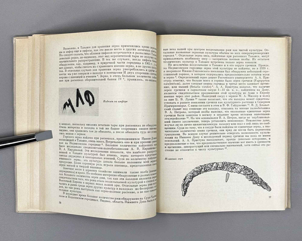 Shelov, D. Tanais and the Lower Don in the First Centuries CE (Tanais i Nizhniy Don v pervye veka nashey ery). 1972. In Russian.