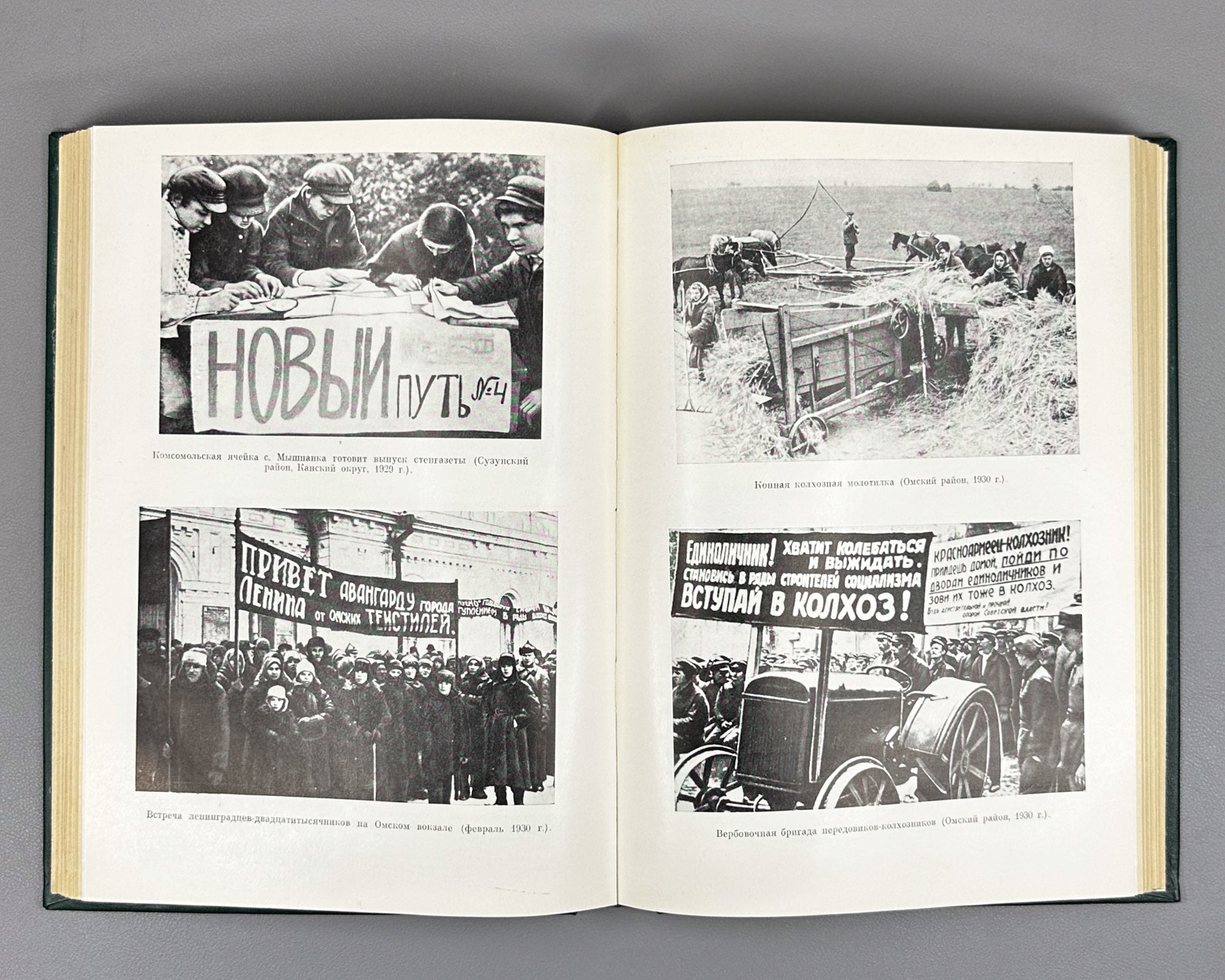 The Peasantry of Siberia in the Period of Socialist Construction, 1917-1937 (Krest'ianstvo Sibiri v period stroitel'stva sotsializma). 1983. In Russian.