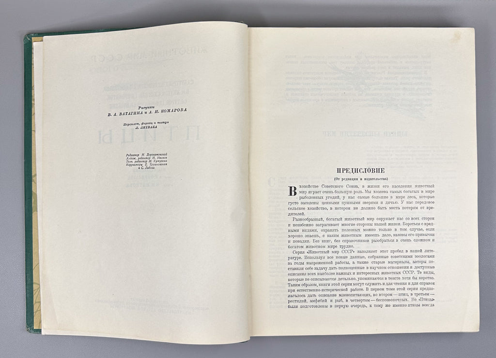[Illustrated by Vatagin and Komarov] Buturlin, Geptner, Dementiev et al. Birds (Ptitsy). Series: Animal World of the USSR. First Edition, 1940. In Russian.