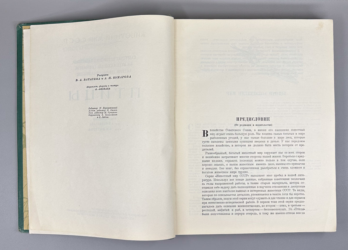 [Illustrated by Vatagin and Komarov] Buturlin, Geptner, Dementiev et al. Birds (Ptitsy). Series: Animal World of the USSR. First Edition, 1940. In Russian.