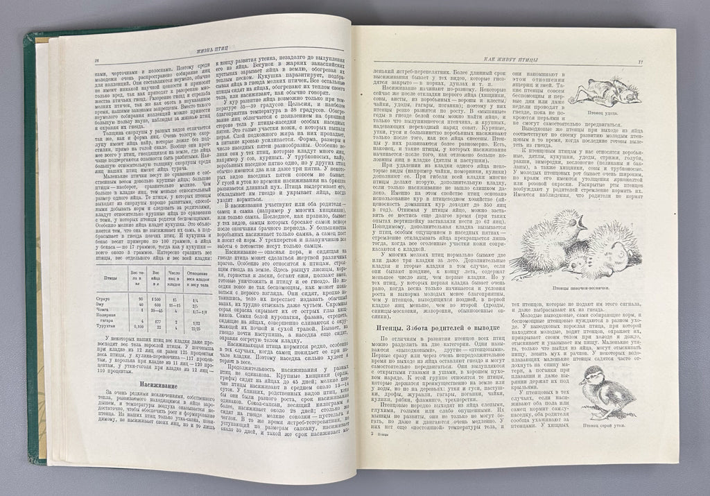 [Illustrated by Vatagin and Komarov] Buturlin, Geptner, Dementiev et al. Birds (Ptitsy). Series: Animal World of the USSR. First Edition, 1940. In Russian.