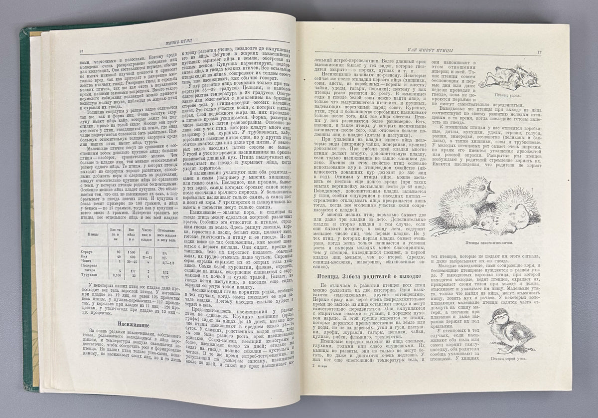 [Illustrated by Vatagin and Komarov] Buturlin, Geptner, Dementiev et al. Birds (Ptitsy). Series: Animal World of the USSR. First Edition, 1940. In Russian.