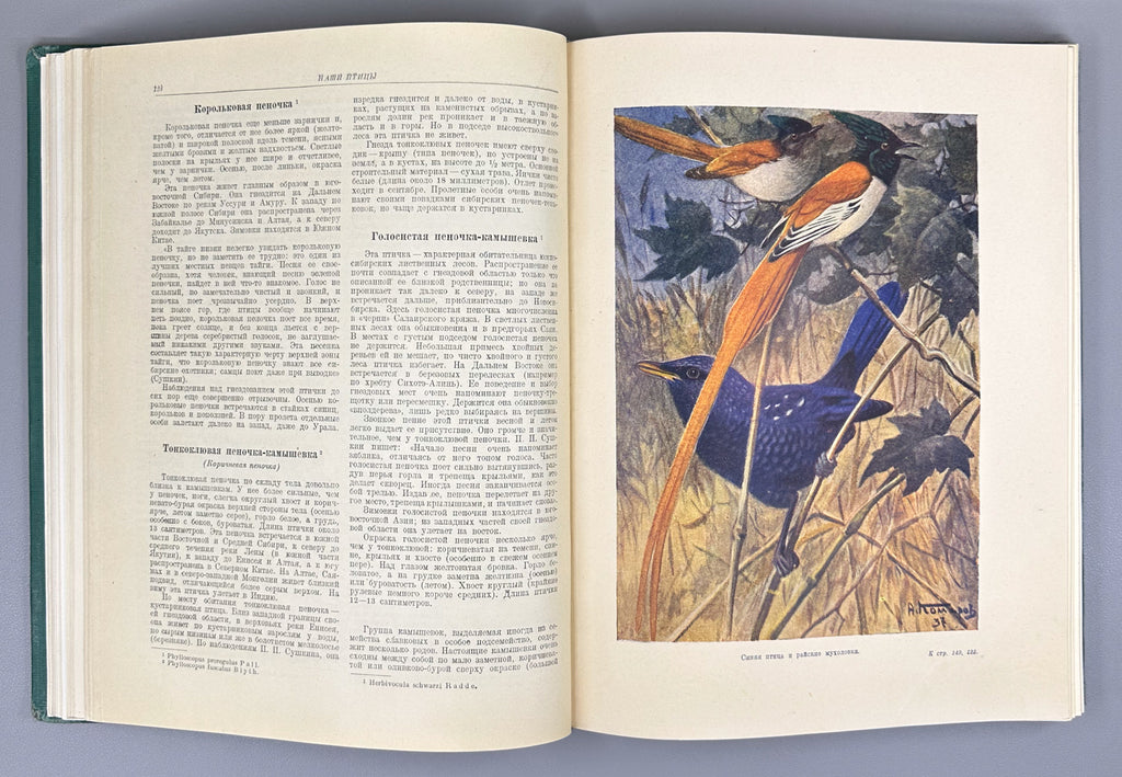[Illustrated by Vatagin and Komarov] Buturlin, Geptner, Dementiev et al. Birds (Ptitsy). Series: Animal World of the USSR. First Edition, 1940. In Russian.