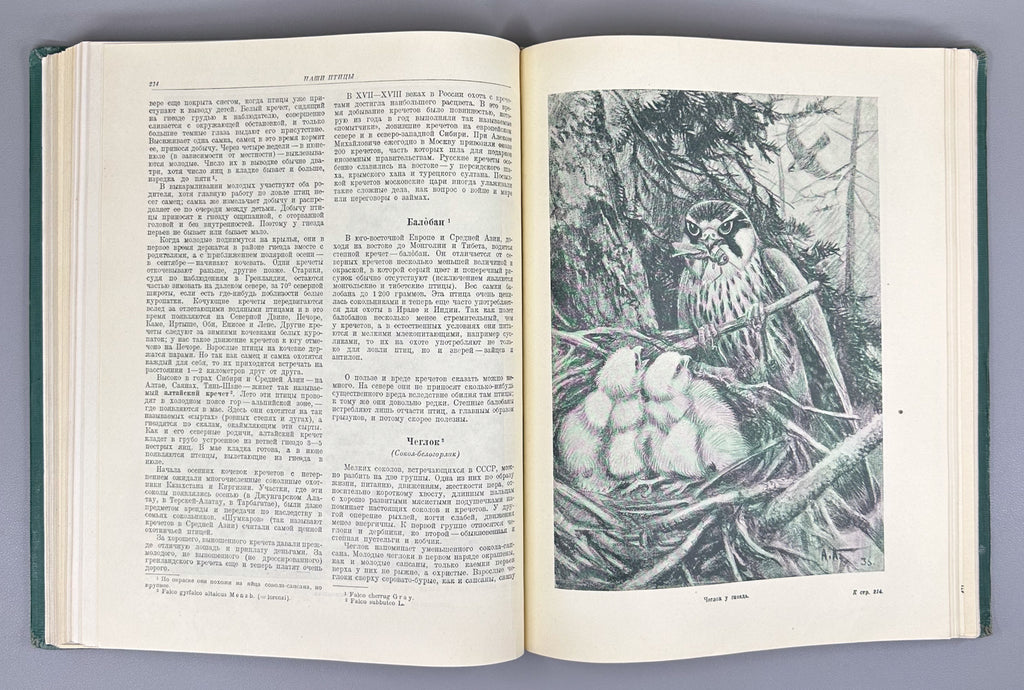 [Illustrated by Vatagin and Komarov] Buturlin, Geptner, Dementiev et al. Birds (Ptitsy). Series: Animal World of the USSR. First Edition, 1940. In Russian.