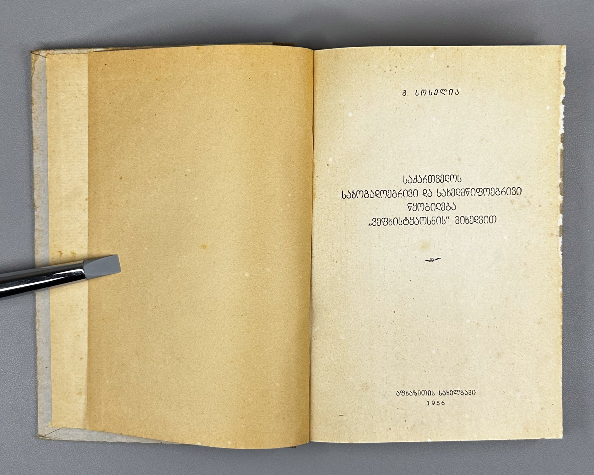 Soselia, G. The Social and State System of Georgia According to The Knight in the Panther's Skin (Sakartvelos sazogadoebrivi da sakhelmtsipoebrivi tskobileba Vepkhistkaosnis mikhedvit). Sokhumi, 1956.