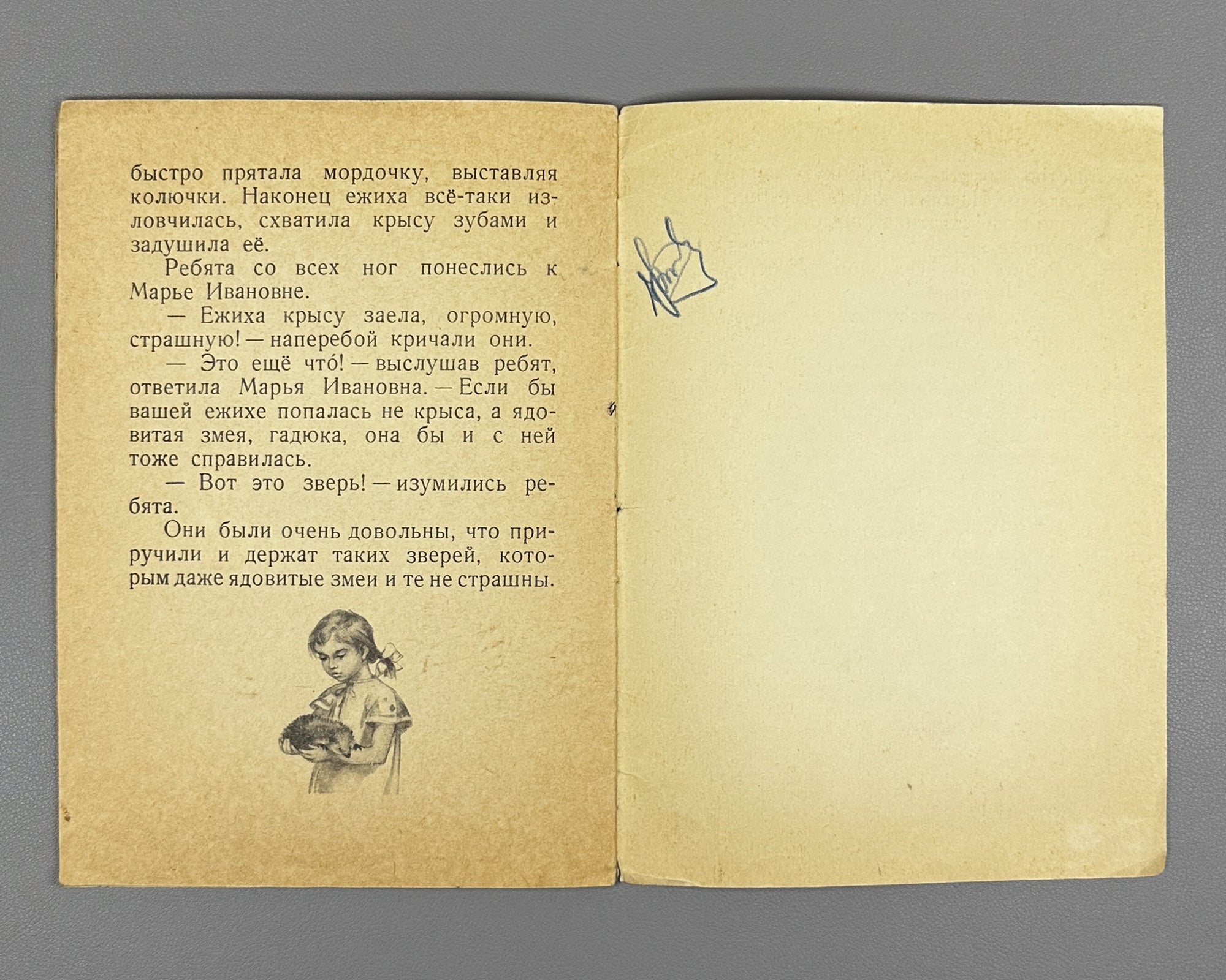 Skrebitsky, Georgy. A Prickly Family (Kolyuchaya semeyka). Illustrated by N. Stroganova and M. Alekseev. Series: My First Books, 1956. In Russian.