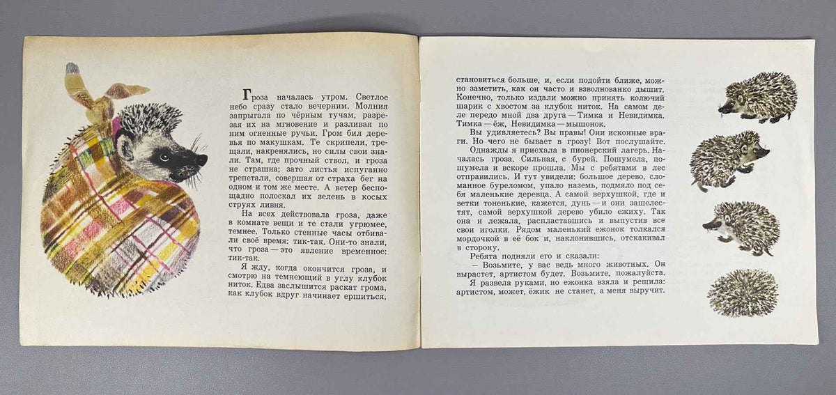 Durova, Natalia. Timka the Little Hedgehog and Nevidimka the Little Mouse (Ezhonok Timka i myshonok Nevidimka). Illustrated by N. Charushin, 1971. In Russian.
