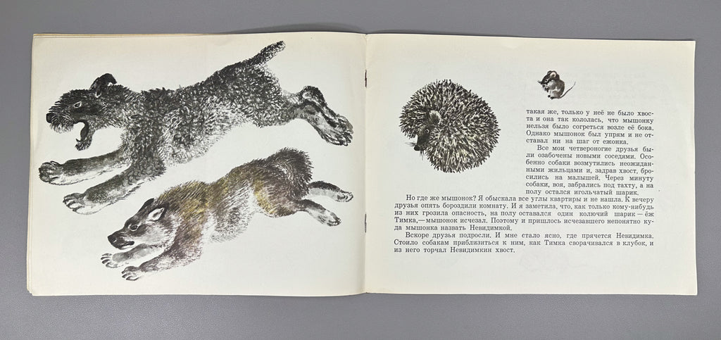 Durova, Natalia. Timka the Little Hedgehog and Nevidimka the Little Mouse (Ezhonok Timka i myshonok Nevidimka). Illustrated by N. Charushin, 1971. In Russian.