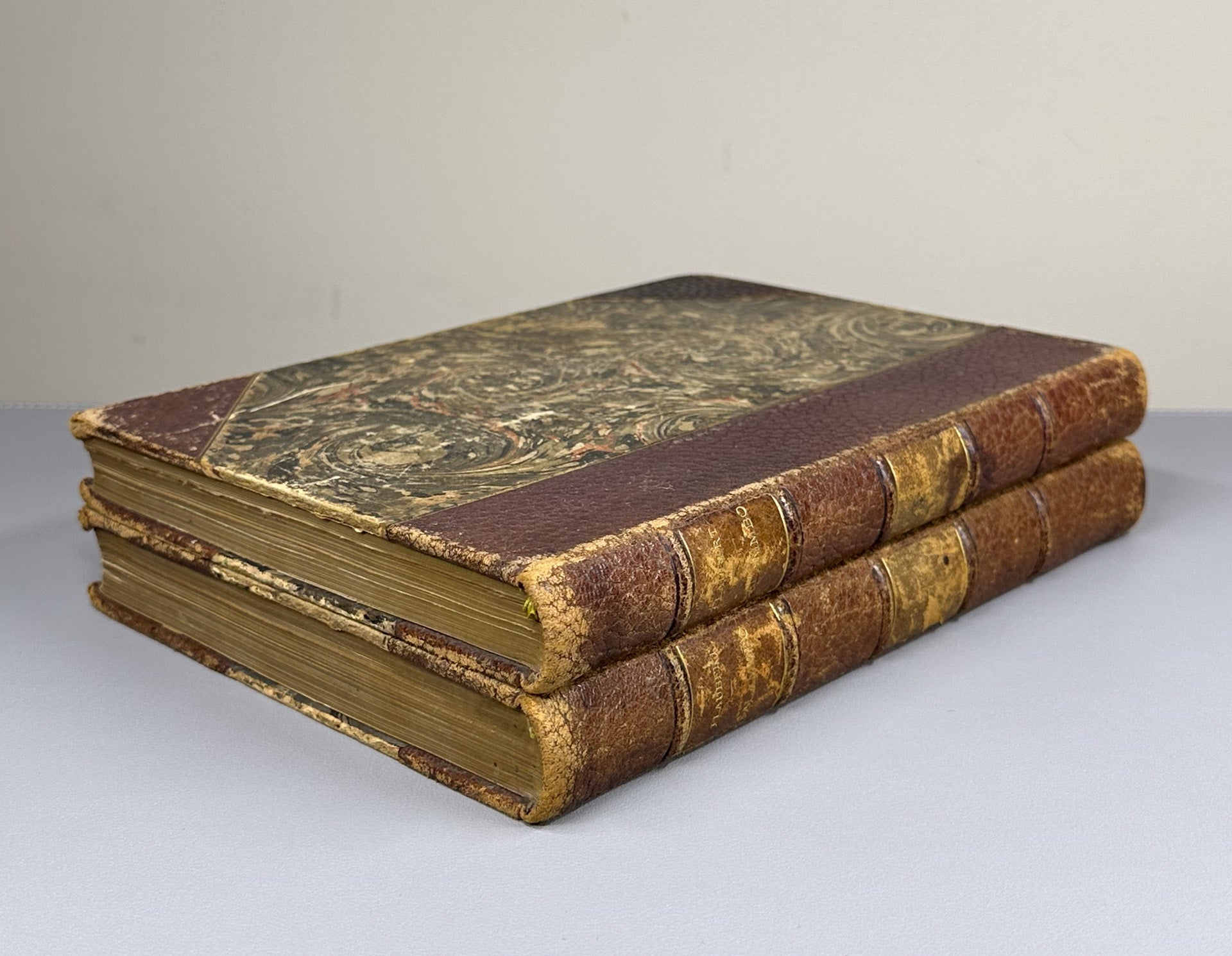 [No. 534] Flaubert, G. Salammbô. Illustrations by Georges Rochegrosse. In 2 Volumes. Paris: A. Ferroud, 1900. In French.