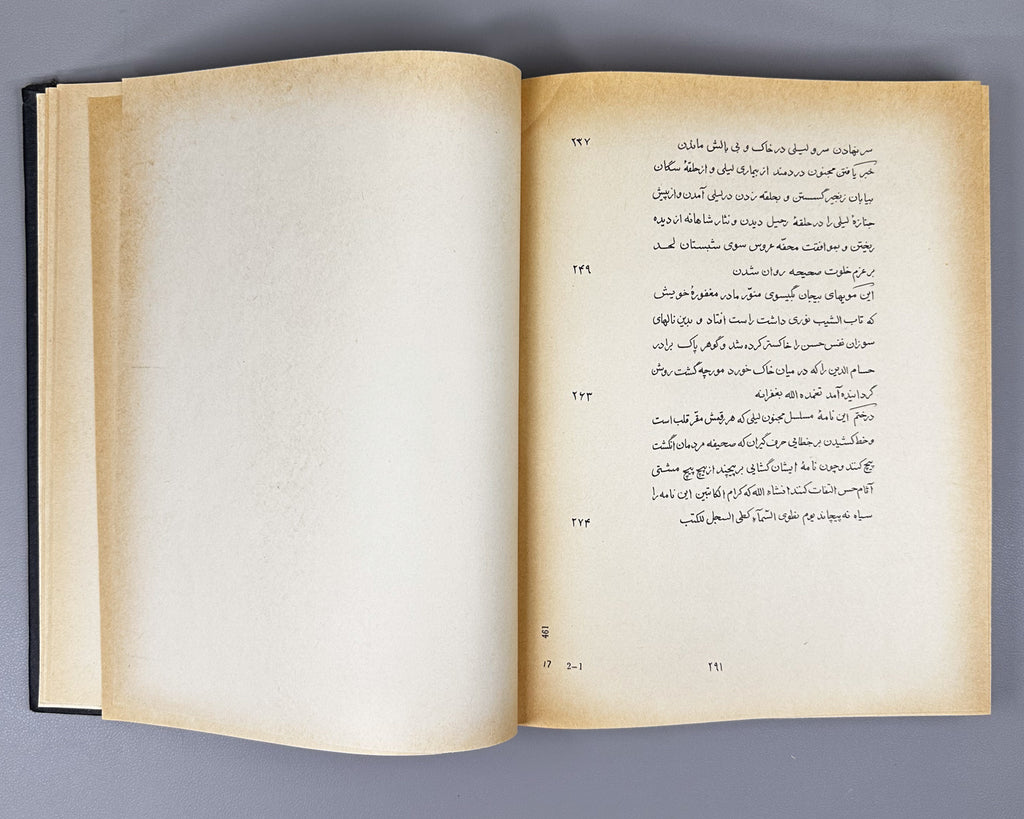 Amir Khusrau Dihlavi. Majnun and Layli (Majnūn u Laylī). Series: Monuments of the Literature of the Peoples of the East, Texts, Large Series, VII, 1965. Persian text in Arabic script with Russian preface. First critical edition.