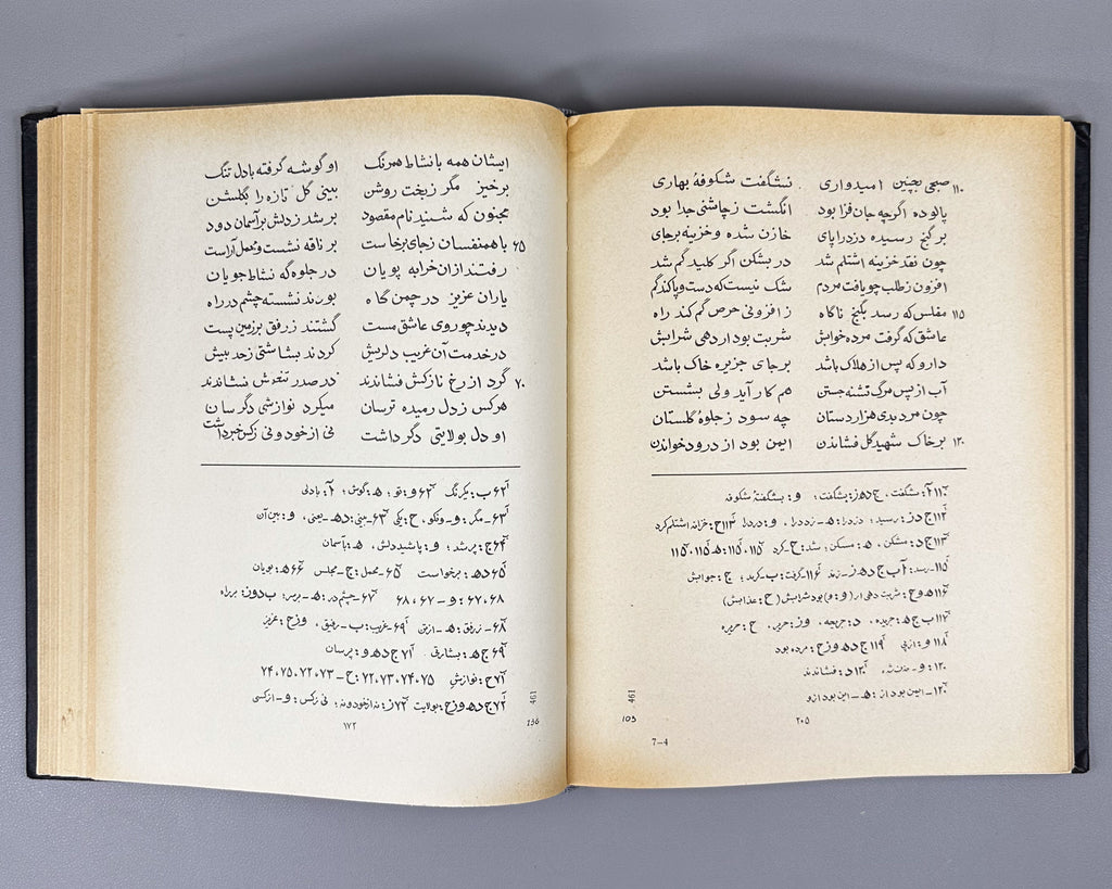 Amir Khusrau Dihlavi. Majnun and Layli (Majnūn u Laylī). Series: Monuments of the Literature of the Peoples of the East, Texts, Large Series, VII, 1965. Persian text in Arabic script with Russian preface. First critical edition.