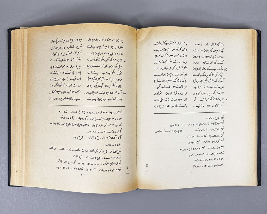 Amir Khusrau Dihlavi. Majnun and Layli (Majnūn u Laylī). Series: Monuments of the Literature of the Peoples of the East, Texts, Large Series, VII, 1965. Persian text in Arabic script with Russian preface. First critical edition.