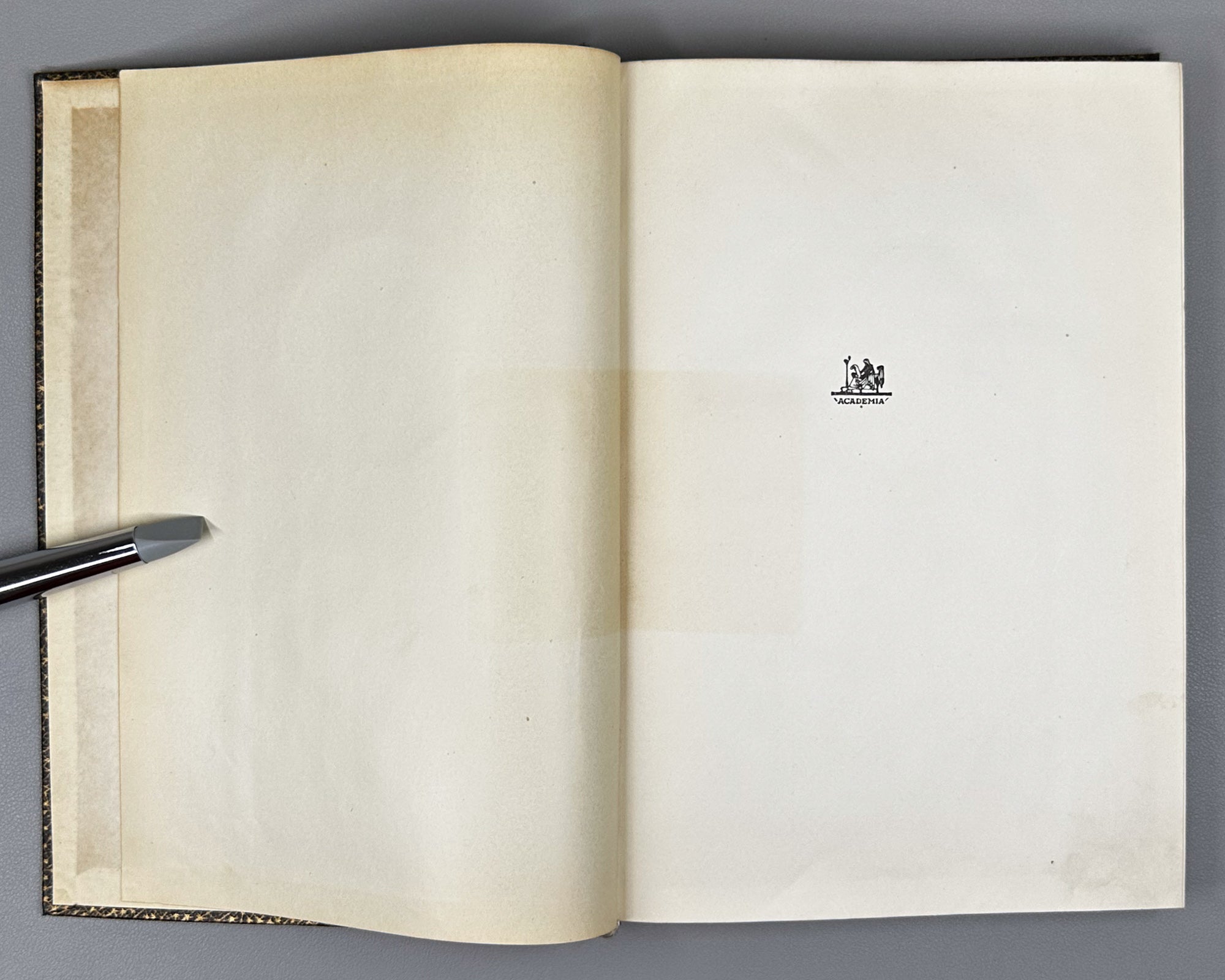 Saadi, Muslih al-Din. Bustan (Бустан) / translated by K. Chaykin. Illustrated by N. Ushin. Academia, 1935. In Russian.