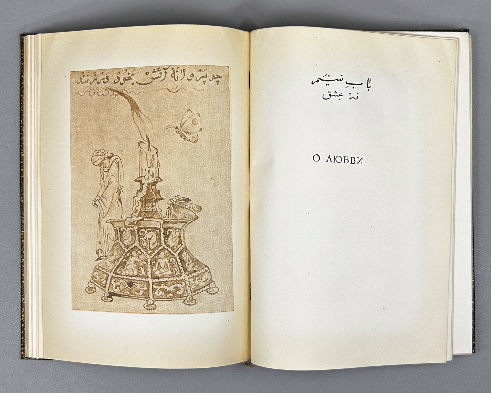 Saadi, Muslih al-Din. Bustan (Бустан) / translated by K. Chaykin. Illustrated by N. Ushin. Academia, 1935. In Russian.