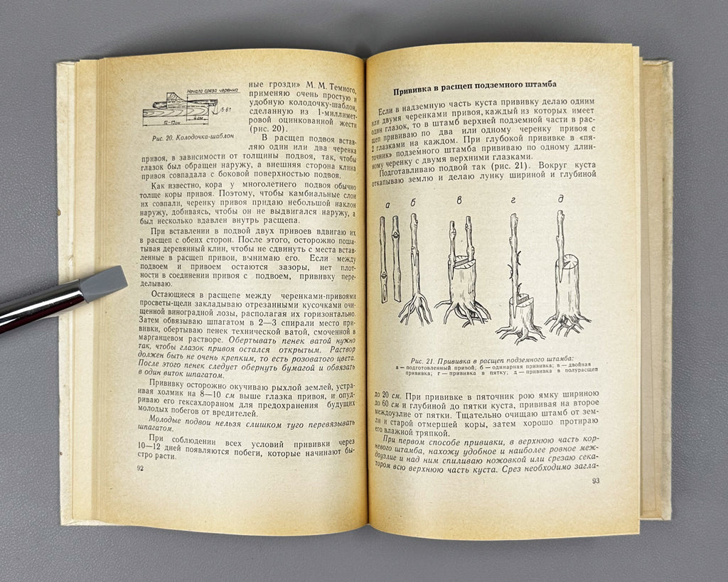 Savelyev, V. 300 Tips for the Amateur Grape-Grower (300 sovetov vinogradaryu-lyubitelyu). 1975. In Russian.