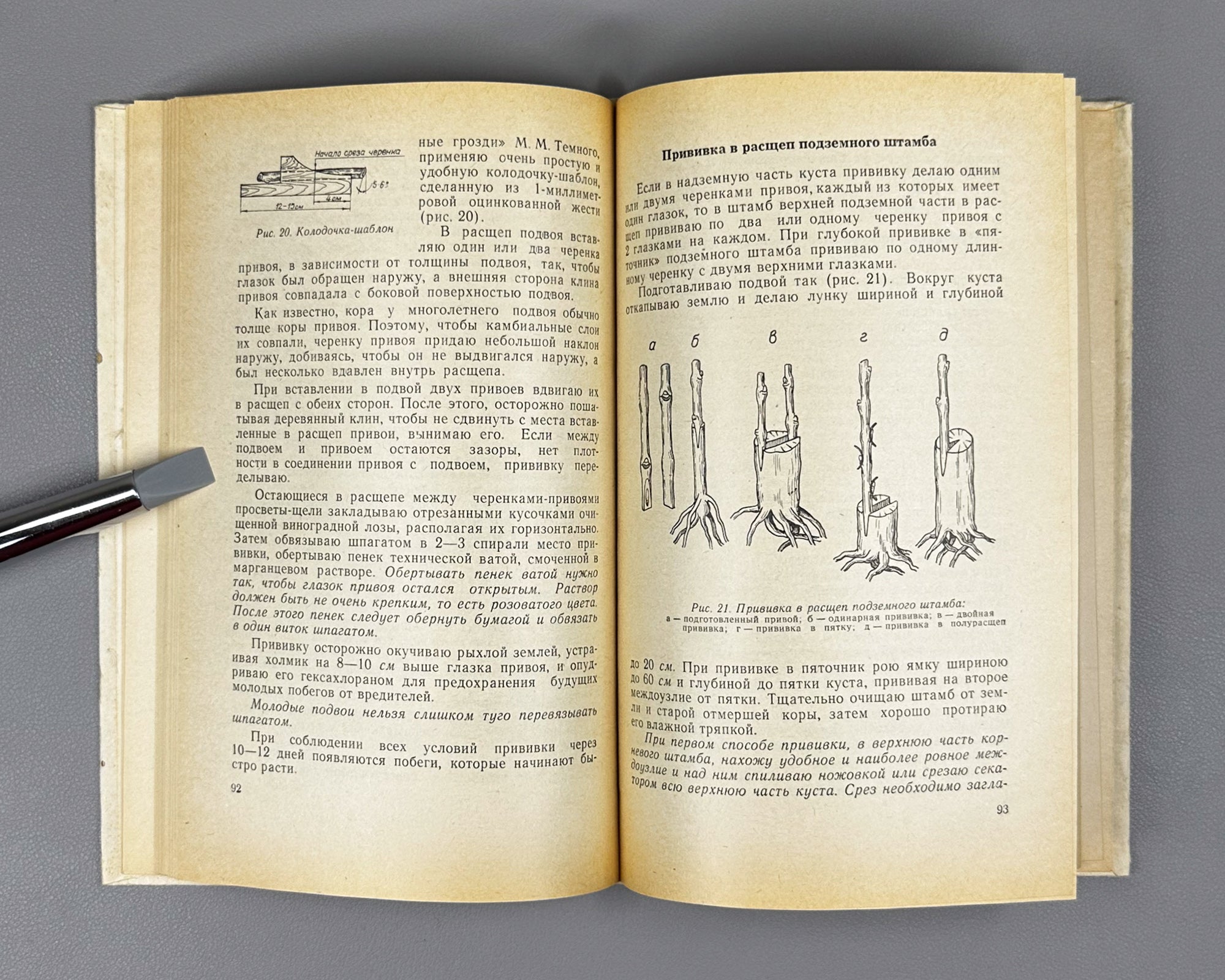 Savelyev, V. 300 Tips for the Amateur Grape-Grower (300 sovetov vinogradaryu-lyubitelyu). 1975. In Russian.