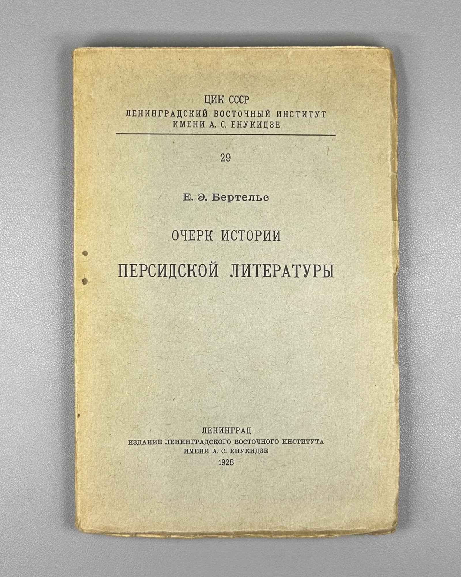 Bertels, Yevgeny. Essay on the History of Persian Literature (Ocherk istorii persidskoi literatury). First edition. Publication of the Leningrad Oriental Institute named after A. S. Enukidze, 1928. In Russian.